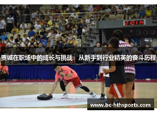 贾诚在职场中的成长与挑战：从新手到行业精英的奋斗历程